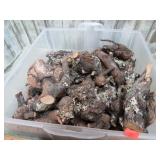 SMALL TREE BURL KNOTS