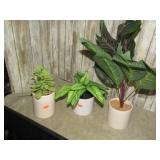 ARTIFICIAL PLANTS
