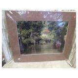 BOARDWALK & SIGNED NATURE PHOTOGRAPHS