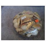 SEA SHELLS