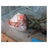 CONCH SHELL LIGHT