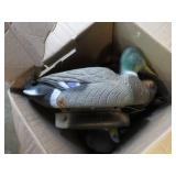 DUCK DECOYS