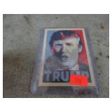 DONALD TRUMP CARD