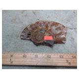 CUT & POLISHED AMMONITE FOSSIL SLICE
