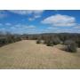 AUCTION COMING SOON! 5+/- Acres in Lascassas, TN - Soil Site and Utilities Available!