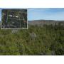 111 +/- Acres Large Secluded Tract - Great for Recreational Retreat - AUCTION May 10th