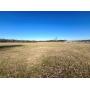 ESTATE AUCTION featuring 0.67+/- Acre Building Lot adjacent to 2151 Abiff Rd