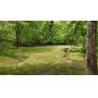 "Camp Fun" - 3 Bedroom Retreat on 5+/- Acres Near the Tennessee River - ONLINE AUCTION ends June 17th