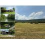 275+/- Acres For Sale in Sparta, TN - 16 Tracts For Sale with 2 Homes, Creek Frontage, Outbuildings, Cave - AUCTION COMING SOON!
