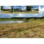 SELLING ABSOLUTE! 33+/- Acres Offered in 5 Tracts ranging from 3+/- AC to 9+/- AC Each - Barns, Ponds and Old Homesteads - ESTATE AUCTION August 