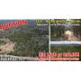111 +/- Acres Large Secluded Tract - Great for Recreational Retreat - AUCTION Aug. 9th
