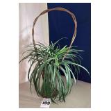 Antique Wicker Funeral Basket - Tin Liner with Artificial Plant