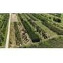 32.14+/- Acre Nursery For Sale with Large Inventory in McMinnville - ONLINE AUCTION ends Nov. 18th