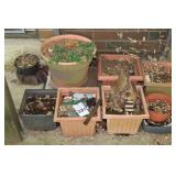 Variety of planters & pots