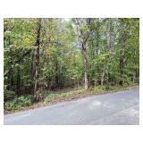 REAL ESTATE: Millersburg Rd, Bell Buckle, TN