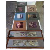 Ted Cooper Prints, Iris and Bird Picture