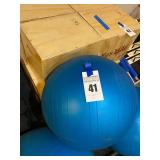 (4) Exercise Balls - Different Sizes