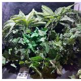 Large Lot of Christmas Garland & 2 Metal Pots with Ferns