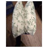 2 Pillows and 1 Pillow Cover