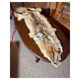 Coyote Hide