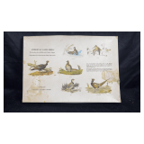 American game birds placemats