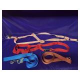 Leashes and Harnesses