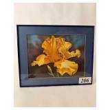 1997 Yellow Flower Print by Richard R. Simms