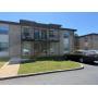 2 Newly Updated 1BR, 1 BA Units for Sale, Walking Distance to MTSU! ONLINE AUCTION ends June 11th