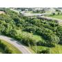 2.8+/- Acres Zoned R-1 and Close to Nissan Assembly Plant in Smyrna - ONLINE AUCTION ends July 28th