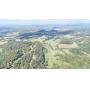 257+/- Acres Offered in 10 Tracts with Luxury Ranch Home, Barn, Pond and More
