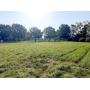 2 Building Lots with 4 BR Soil Sites
