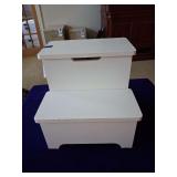 Step Stool with Storage