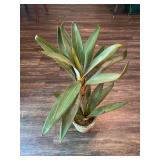 Artificial Agave Plant in Decorative Pot