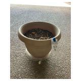 Large Plastic Planter Pot on Rolling Plant Caddy with Soil