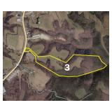 TRACT 3: 53.52+/- Acres at Hwy 56, Silver Point, TN