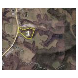 TRACT 1: 10.23+/- AC at Hwy 56, Silver Point, TN