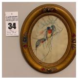 J. Gould 'Splendid Grass Parakeet' in a Gold Tone Oval Frame