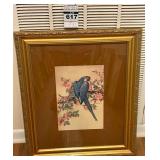 Framed Print of a Blue Hyacinth Macaw by an Unknown Artist