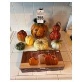 Collection of Pumpkins and Gourds