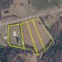 3 BR Log Home on 29 +/- Acres Offered in 4 Tracts