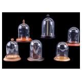 Pocket Watch Display Domes