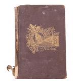 1898 NYC Book H. Campbell Darkness and Daylight