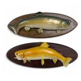 Fish Mounts w / Rainbow Trout and Palomino