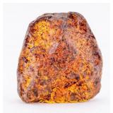 Large Amber Chunk with Insect
