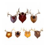 7 Vintage Mounted Deer Antlers