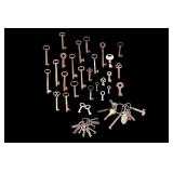 Skeleton Keys Grouping