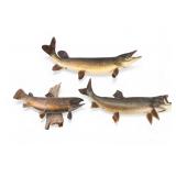 Taxidermy Pike, Trout, and Lake Trout