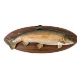 Taxidermy Palomino Trout and Cutthroat Trout