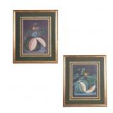 George Brookshaw Pair of Melons Prints