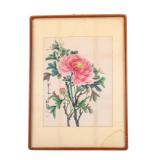 Framed Chinese Watercolor